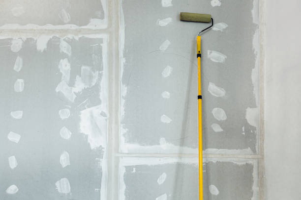 Best Water-Damaged Drywall Repair  in Gulfport, FL